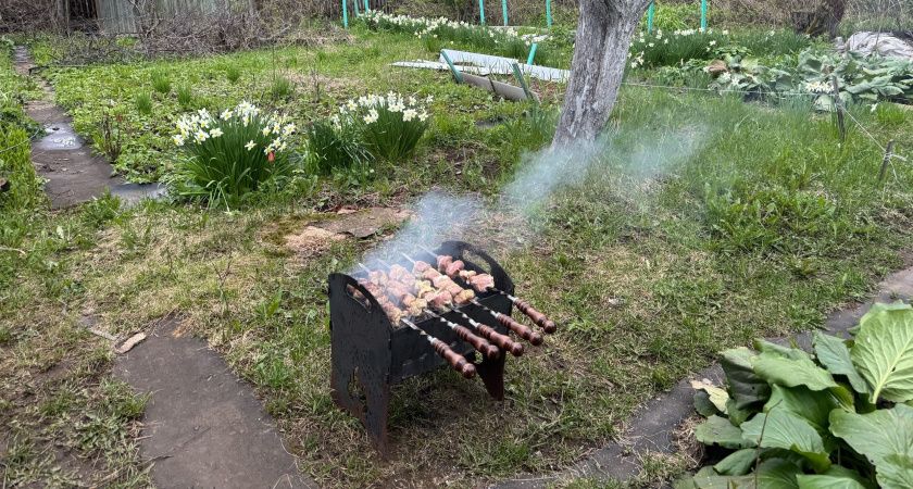 С 1 мая шашлык на даче уже не пожарить: владельцев дач и огородов ждут баснословные штрафы