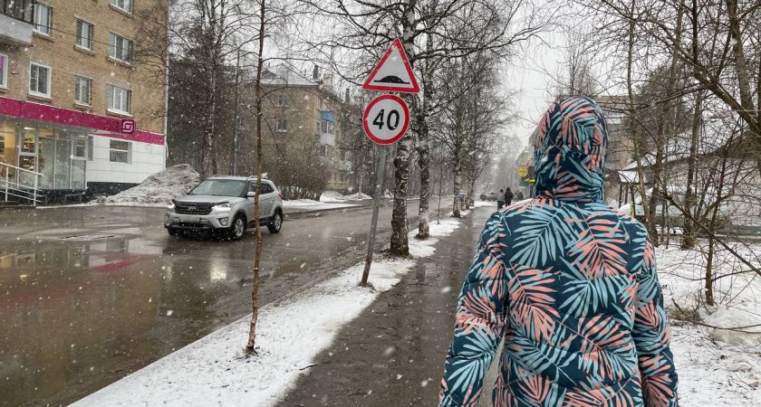 Черемуховые заморозки обрушатся на Россию и покосят весь урожай: как спасать посевы