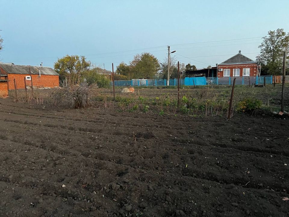 Теперь в июне без согласия соседа на своём участке будет строго запрещено: новые правила для всех, у кого в собственности дача или участок