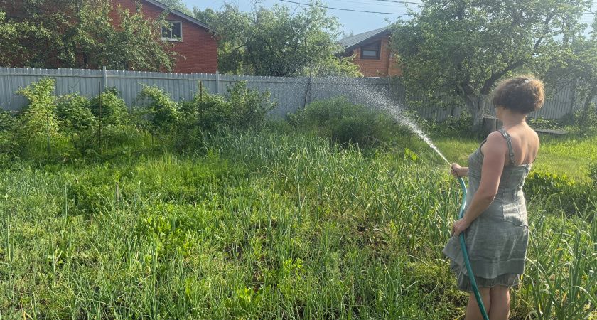 За день лишатся земли: всем, у кого участок в собственности - новое жесткое правило со 2 июля
