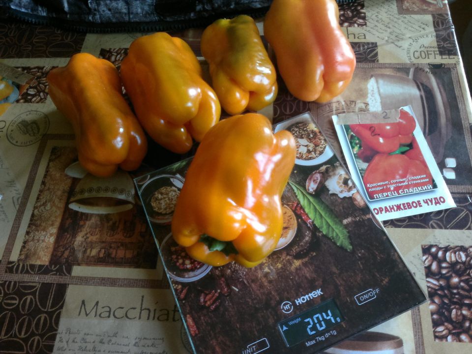 Топ-5 сладких перцев, которые поразят ваши вкусовые рецепторы в 2025 году