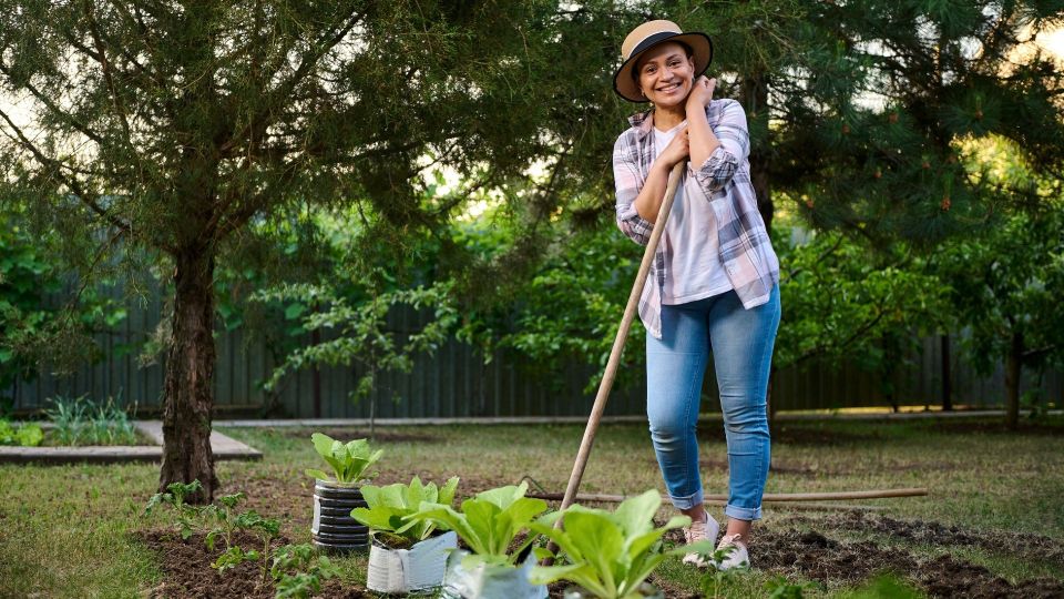 Вот как делают переносной огород ленивые садоводы: экономит место и силы