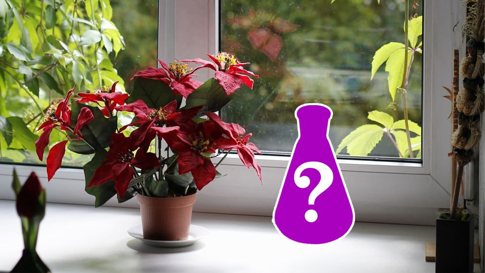 Подоконник станет белее снега: просто нанесите этот секретный состав