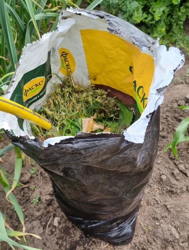 Как быстро сделать перегной из травы: советы для дачников