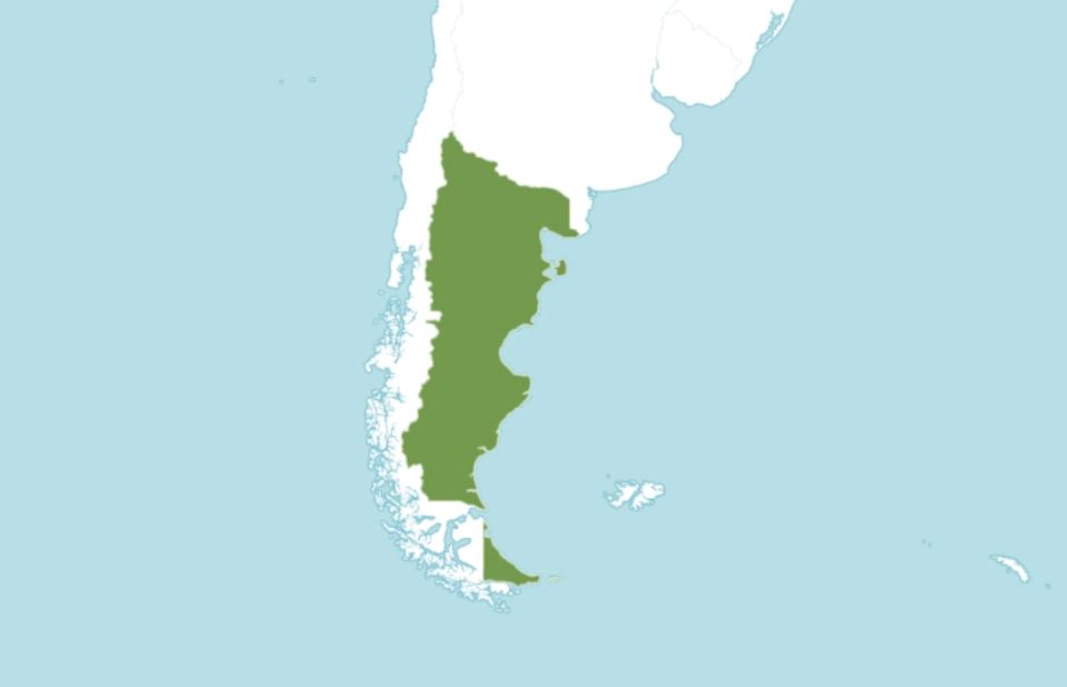 ���������� ������ � ����������� ���: ����� �������� ������