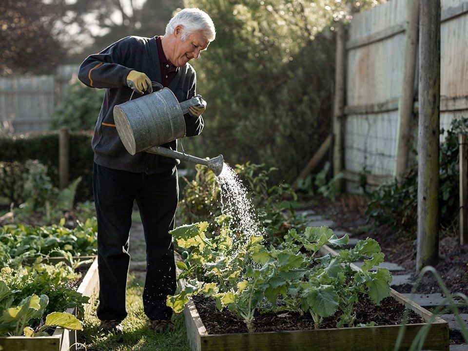 Кто и когда планирует уходить на пенсию: мечты россиян о заслуженном отдыхе