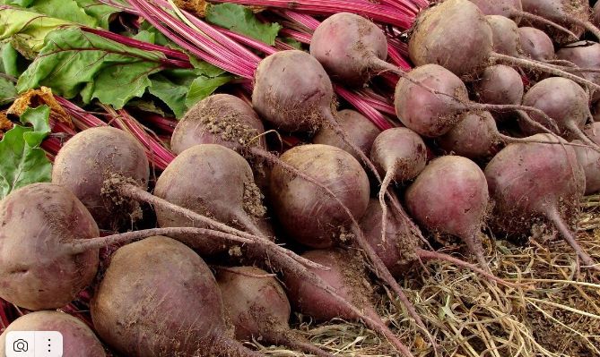 ����������� ������ �������� ������� � ������ �� ������� ������� ���������