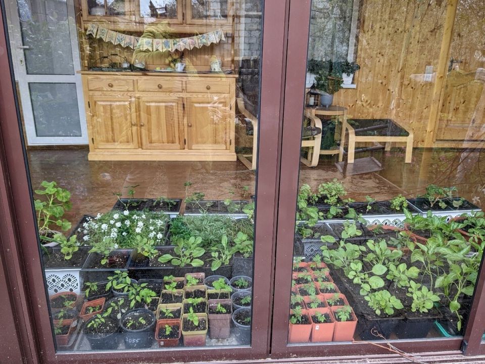 ��� ������������ ����� ������ � �������� ����������� �� �������