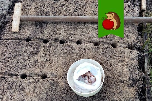 ����� � ����� ���������: ��� ��������� ����������� ����� ��� ������ ������