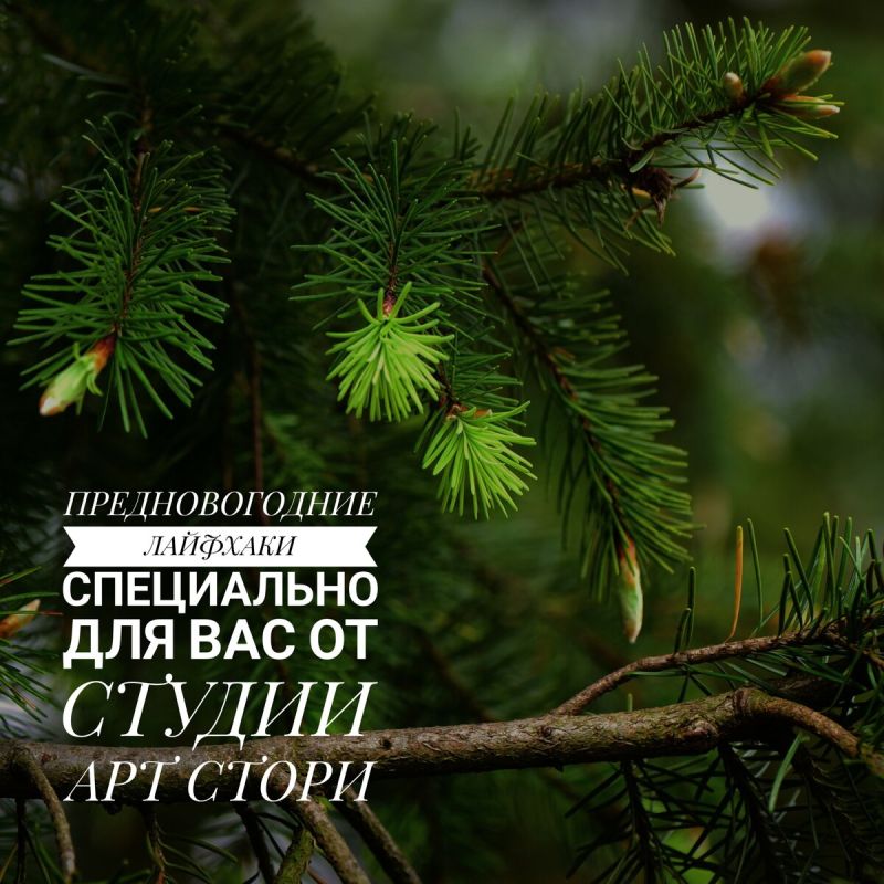 Как подготовить ваш сад к новому году: советы и предостережения