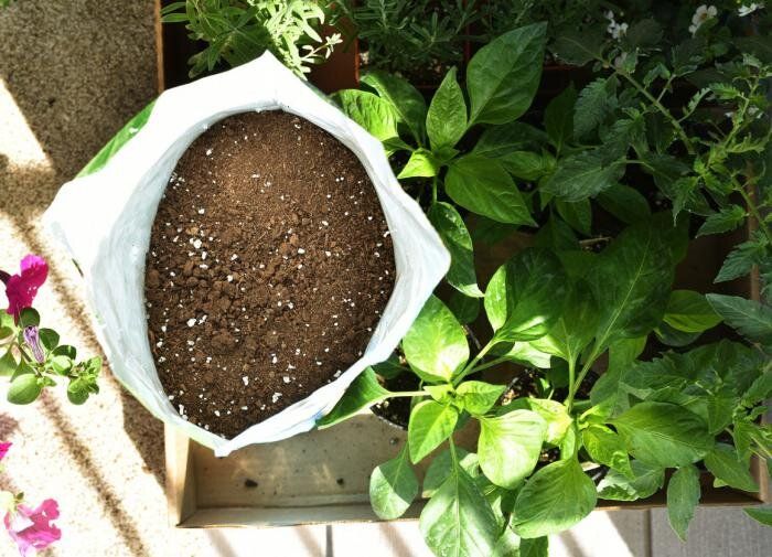 ����������� �������� � ��������� ������: ����� ��������� � �����������