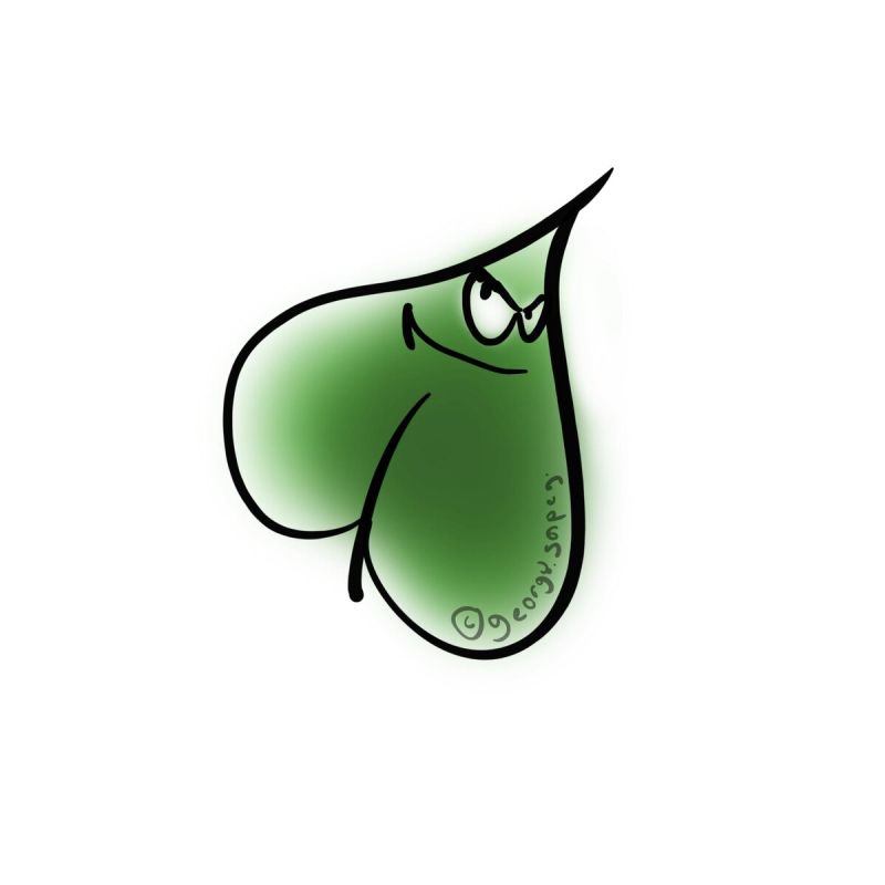 ���� ������ ��������������: ��������� ��� ������?