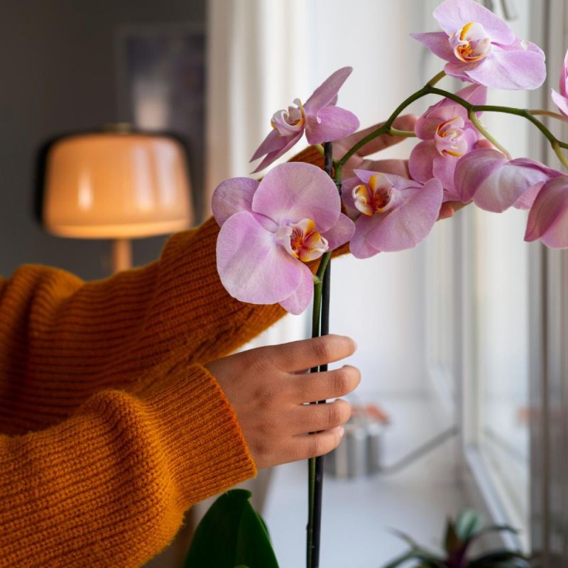 ���� � ����� �� ���������: ���� � ����������