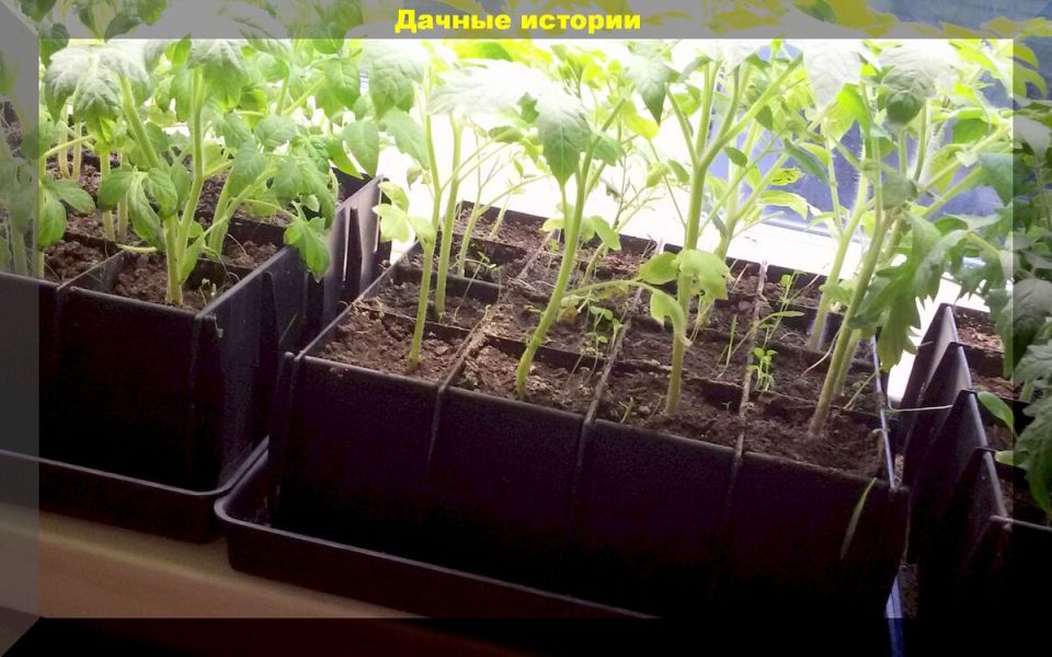 ������ ������� ������� ������ ������� ��������� � ������