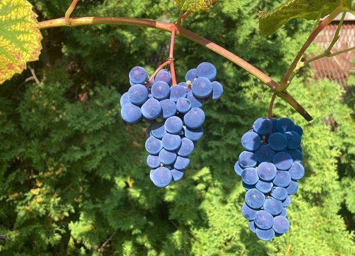 ���� � ��������������: ���� � ����������