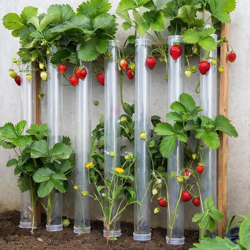 Вертикальные грядки из ПВХ-труб: секреты урожайного огорода в ограниченном пространстве