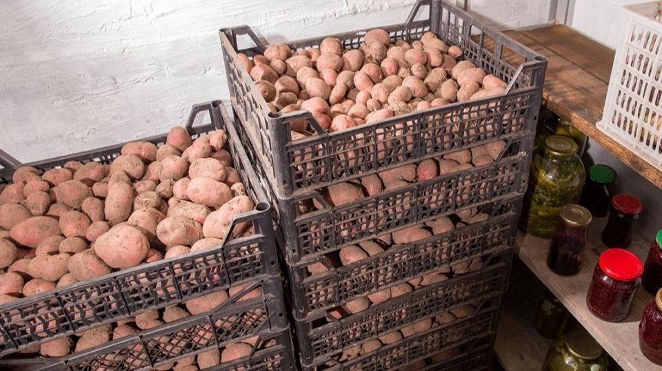 ����������� ����� �������� ���������: ���������������� ��������