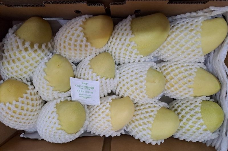 ���� ��������� ����� ��������: ���� � �������� ����������� �������