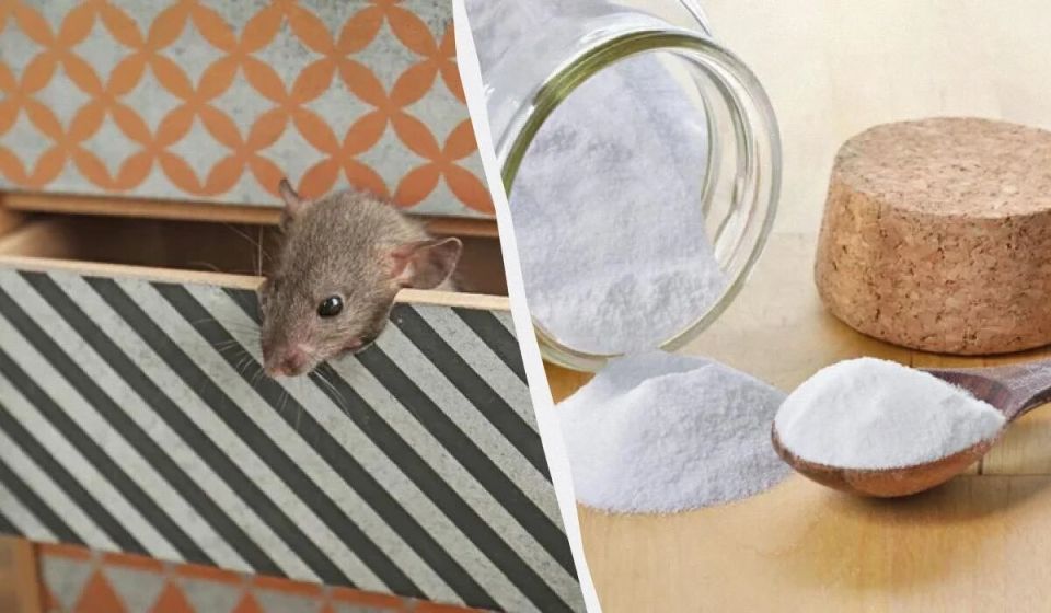 ��� ������� ���� ����� ����� ����� ������ ��������� � ������ � ������