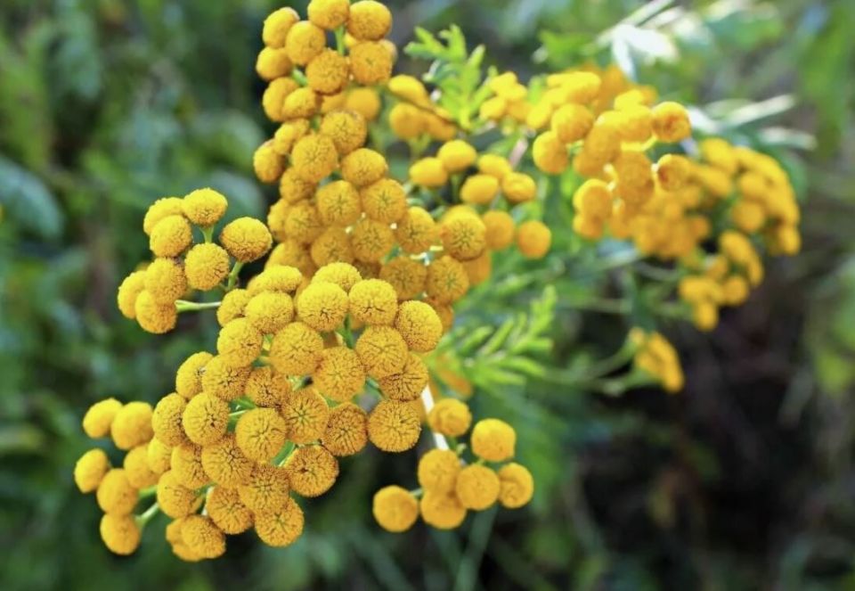 ���� ���������� �������: ��� �������� �������� ��� ��� �� ����������