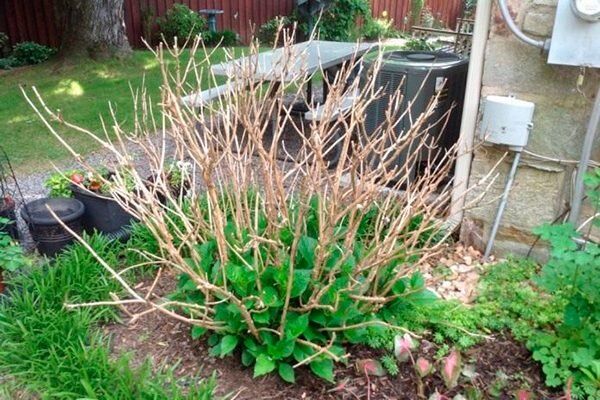 �������� ������� ����� �� ����������