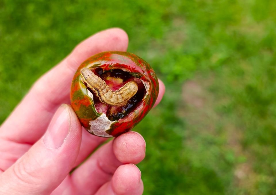 ������������ ����������� ��� ������ � ������ � ��������� ����� �� ������ �������