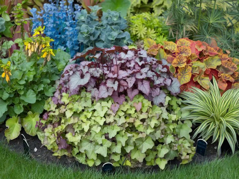 ��� ������� ���� ����� ������� ��������� ������ ������� � ����� �������