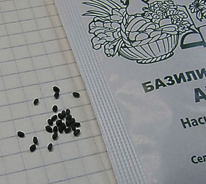 ������� ������: ����������� ��������� � ������������� ��������