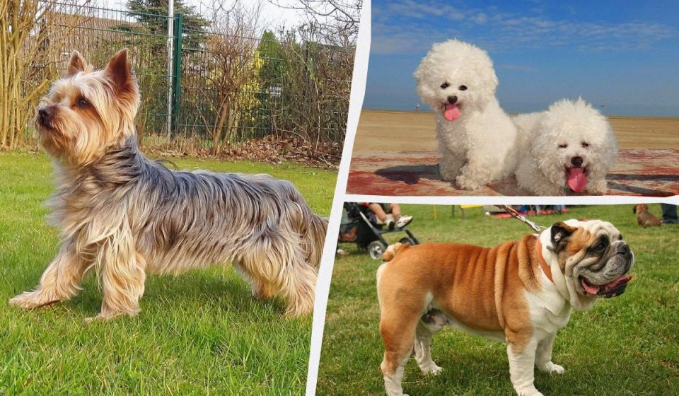 ��������� � ��������: ����� ������ �������� ��� ����� � ��������