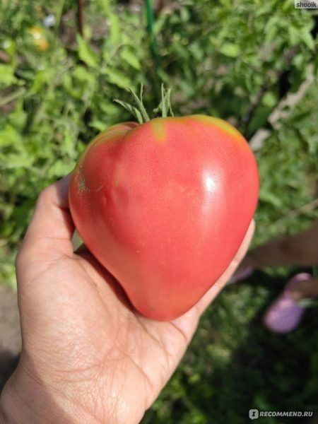 ����� ����� ��������� �������: �������� � ���� ��� ����� ��������� �����