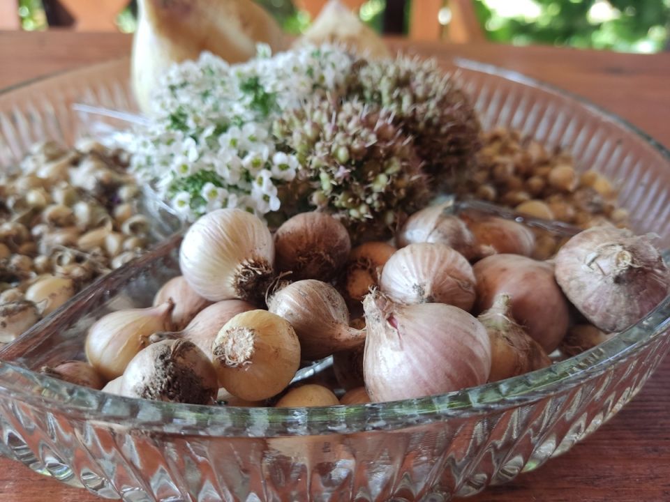 ����� ������� � ����: ������� ��� ����������� ������������