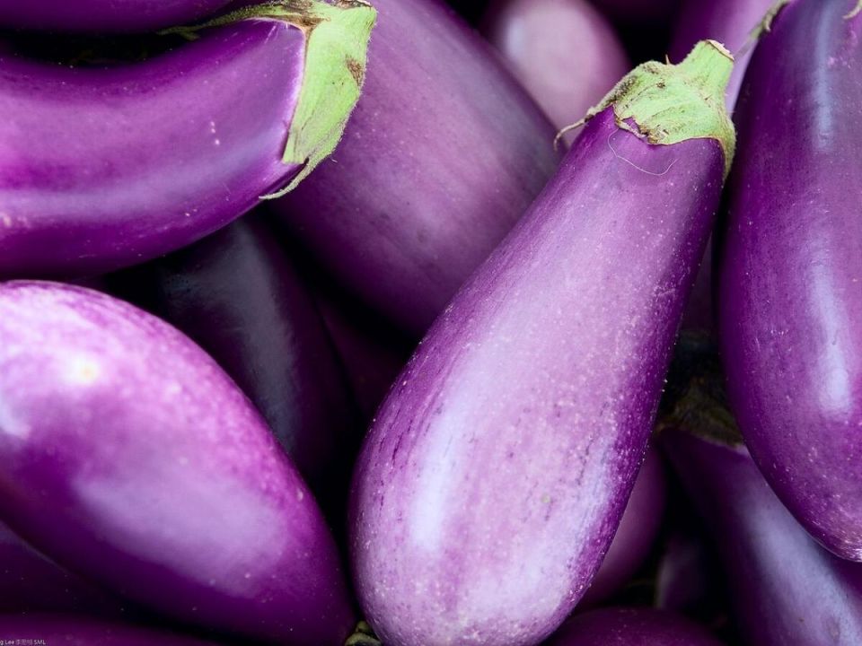 ����������� ����� ���������� ��� ���������� �����������