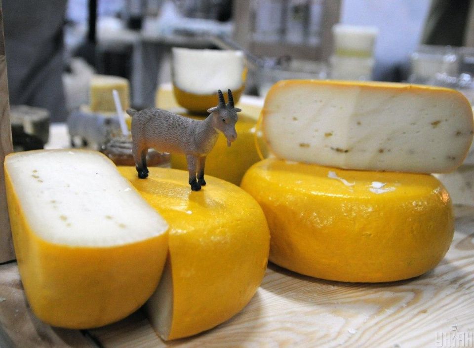 Как сохранить сыр свежим и вкусным на каждый день