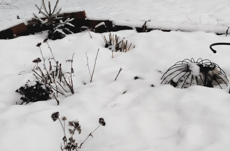 ������ ��� ��� �������: ��� �������� 7 ������� ������� ��������