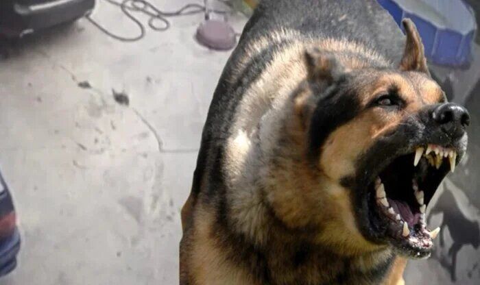 ��������� ������, ������� ��������������� �� ����� ������