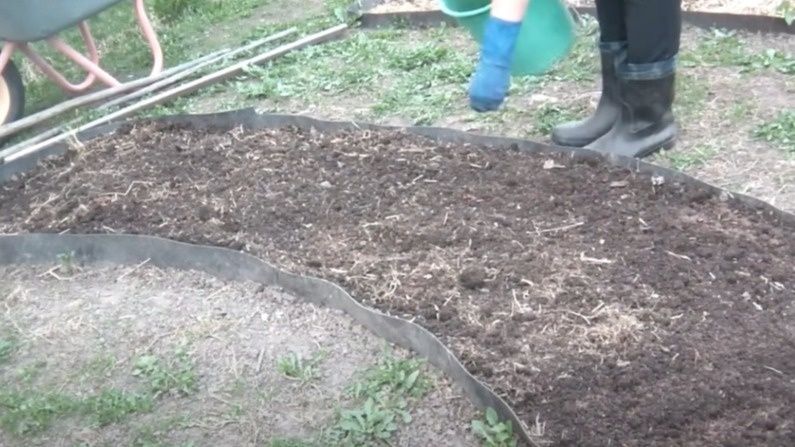 ������� ����������� � �������� ��������: ��� ���������� ����� � �����