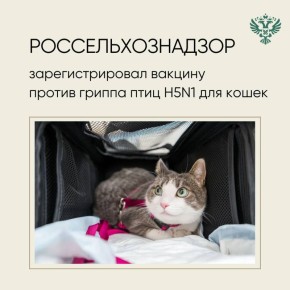 21  2025      Flu    H5N1   ,    