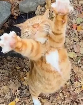  !.   : 