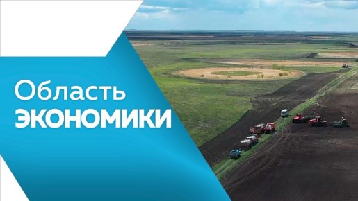            amurobl.tv      