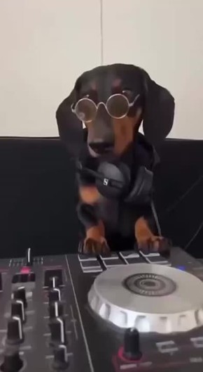 .      : 