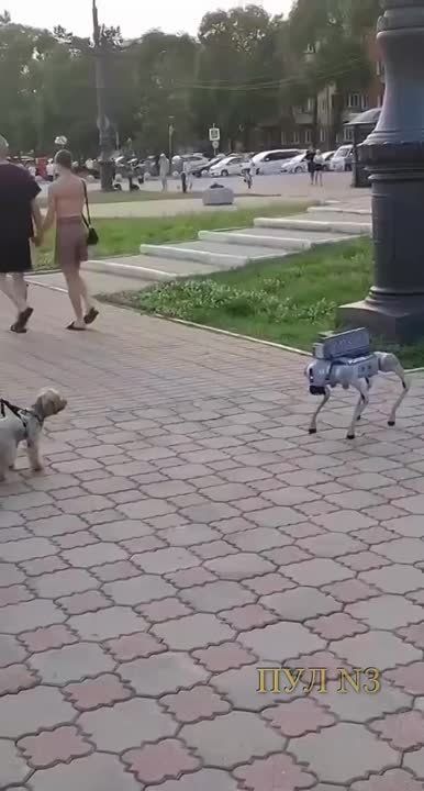   :       
