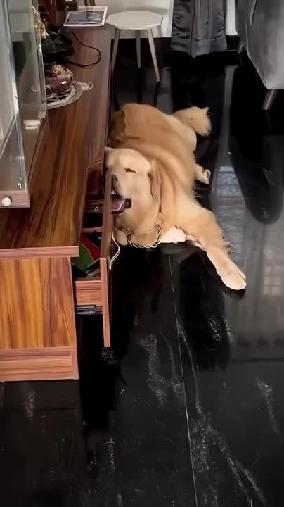  .       : 