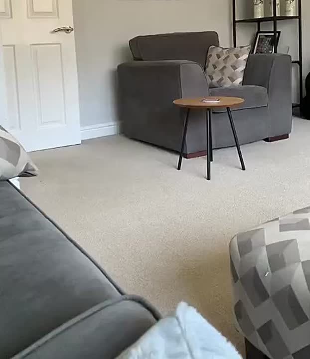  .      : 