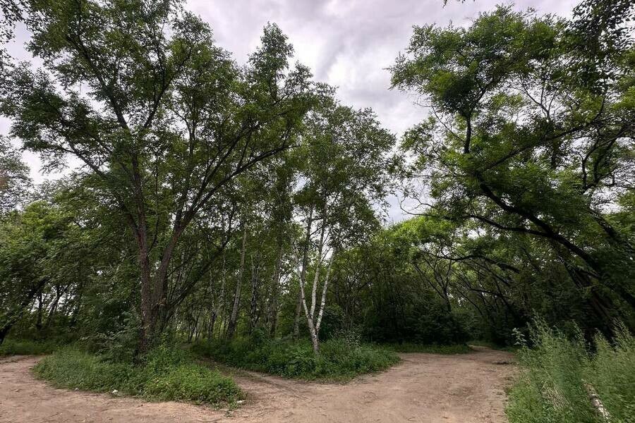       40  ,      ,       