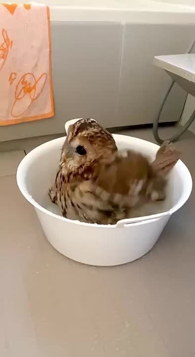  .    ! : 