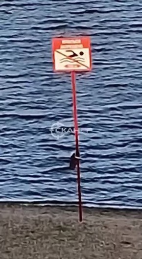        :  ,    -?