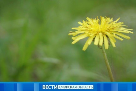   -    13   