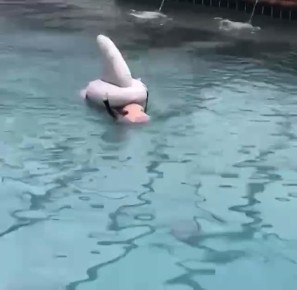  !.      
