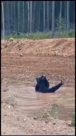 ,        ?