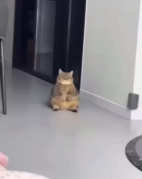   . : 